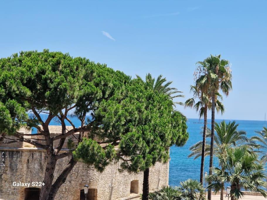 Cozy Studio, Sea View, Old Town, Near Beaches Antibes Buitenkant foto